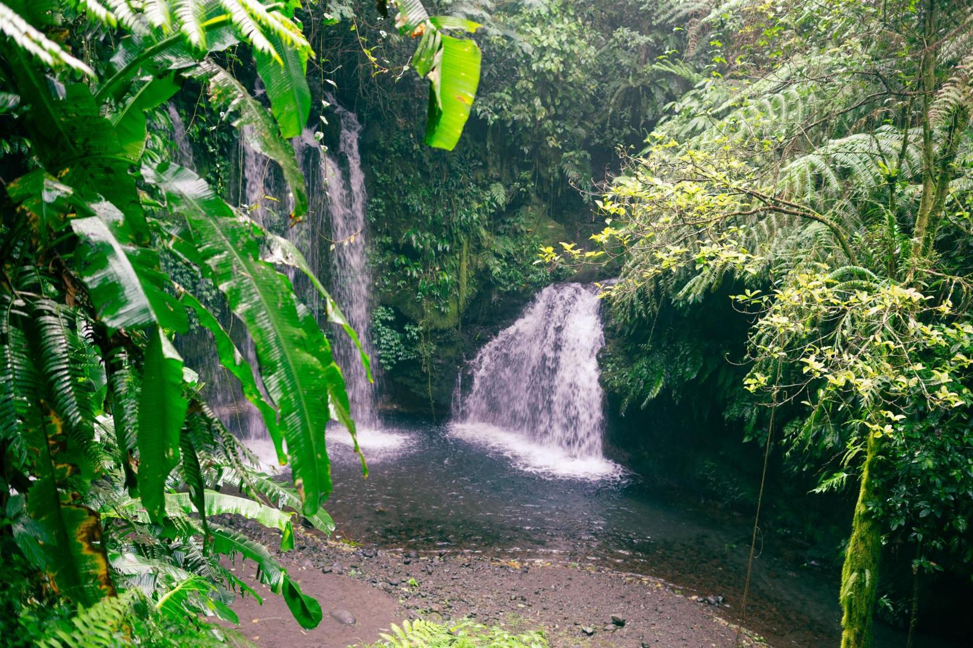 Santya Loka Lodge & Twin Waterfall Jatiluwih Exterior foto