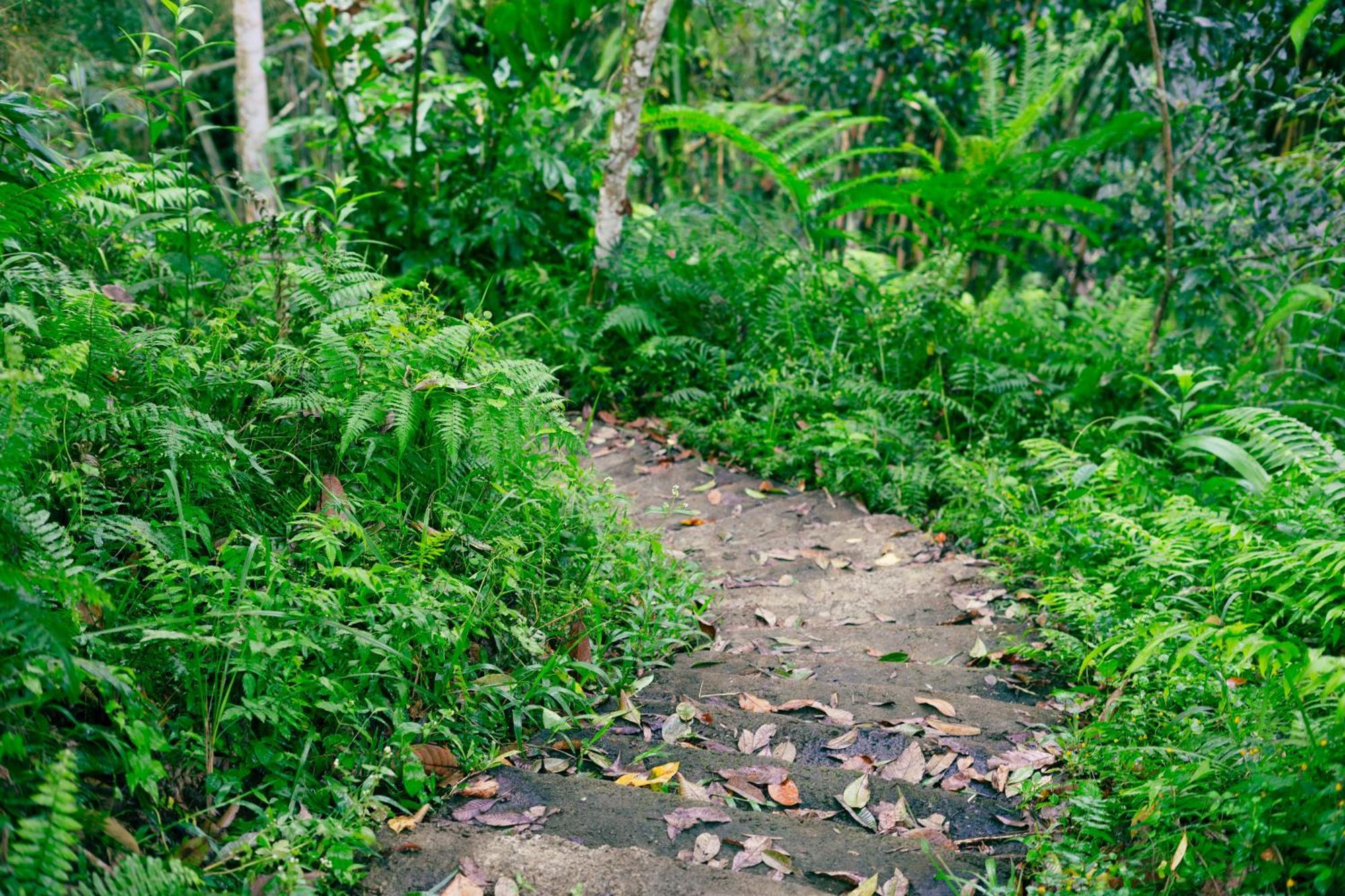 Santya Loka Lodge & Twin Waterfall Jatiluwih Exterior foto