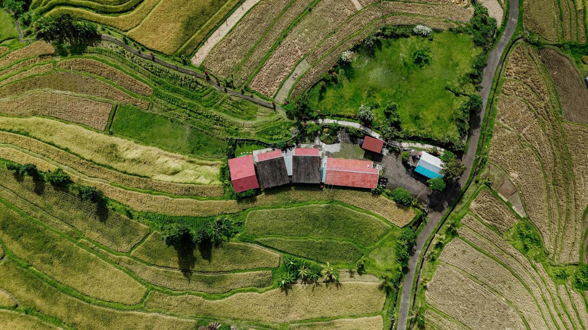 Santya Loka Lodge & Twin Waterfall Jatiluwih Exterior foto