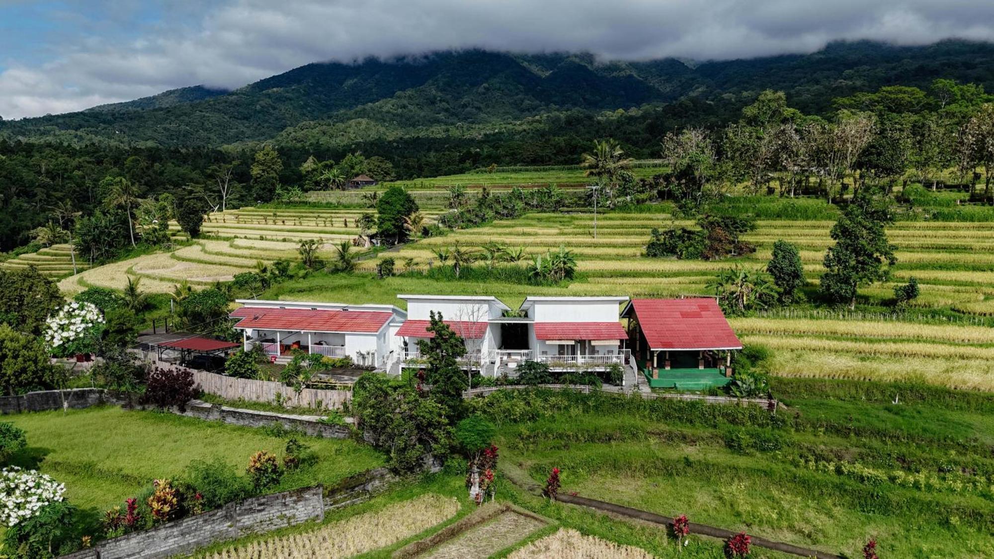 Santya Loka Lodge & Twin Waterfall Jatiluwih Exterior foto