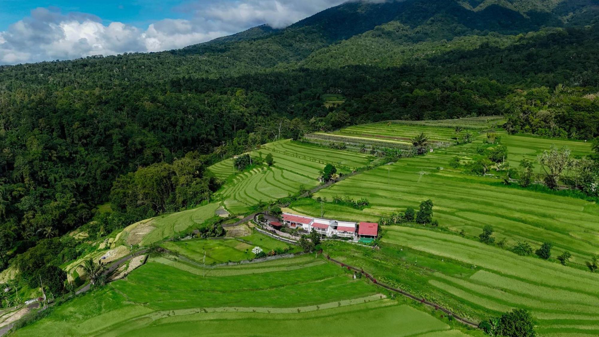 Santya Loka Lodge & Twin Waterfall Jatiluwih Exterior foto